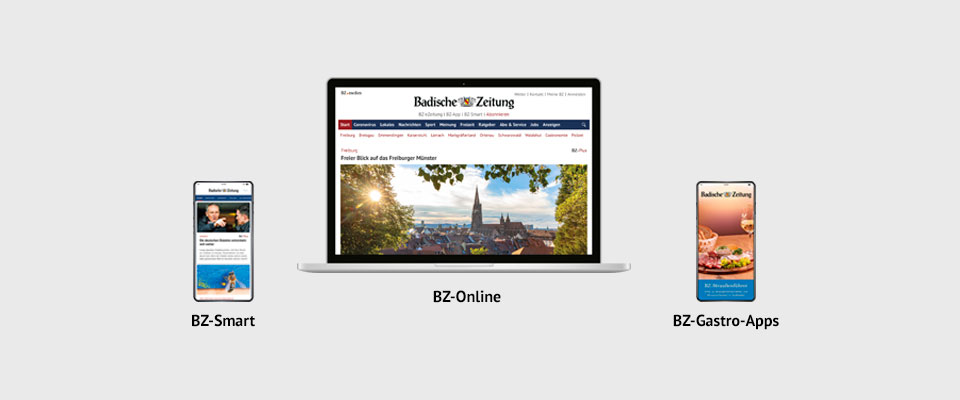 Upgrade auf BZ-Digital Basis