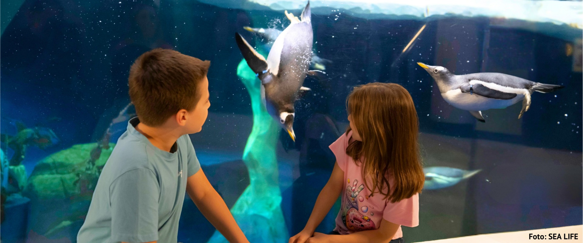 Zoo Basel