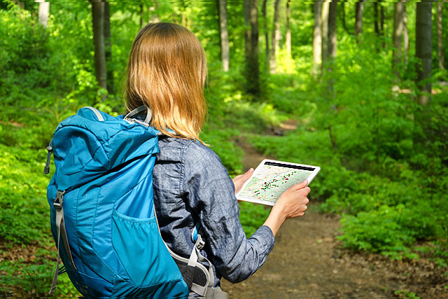 Suchfunktion und Navigationshilfe