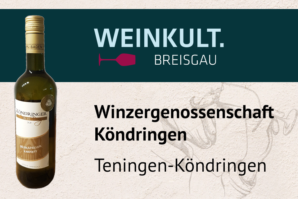 Winzergenossenschaft Kndringen